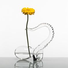 a single yellow flower in a clear vase with chain around it's neck, on a reflective surface