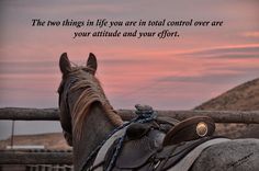 a horse that is standing next to a fence with a quote on the back of it