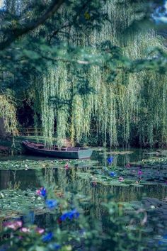 a boat floating on top of a body of water surrounded by trees and lily pads