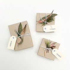 three pieces of paper tied together with twine and some leaves attached to the tags