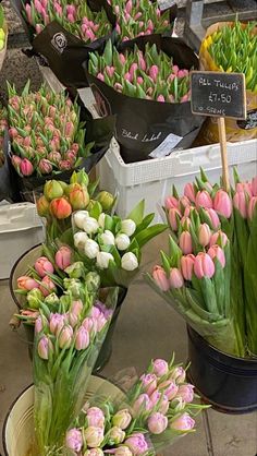 many different types of tulips in buckets for sale