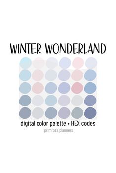 a white background with the words winter wonderland in blue, pink and grey circles on it