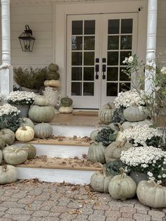 some pumpkins and flowers are sitting on the steps