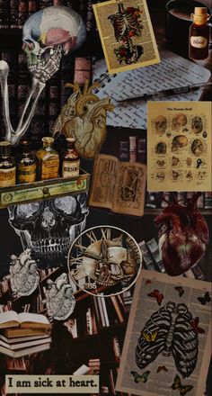 there is a collage of pictures with skulls and books