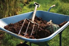 a blue wheelbarrow filled with dirt and gardening utensils in the grass