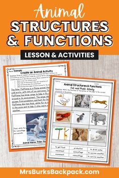 an animal structure and functions worksheet for kids to learn how to use it