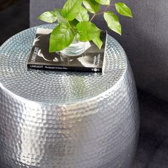 a small potted plant sitting on top of a metal table with a magazine in it