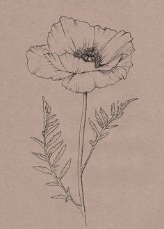 a black and white drawing of a flower