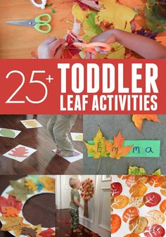 25 + toddler leaf activities