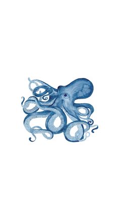 an octopus is floating in the water with its tentacles spread out and it's eyes open