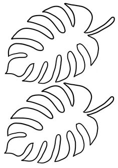 a black and white drawing of a palm tree leaf with long, thin lines on it