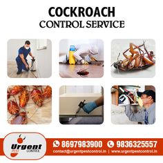 an advertisement for cockroach control service with pictures of cockroaches and workers