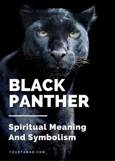 a black panther with the words black panther on it