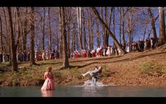 a group of people standing on top of a river next to a forest