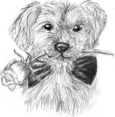 a drawing of a dog wearing a bow tie and holding a rose in its mouth