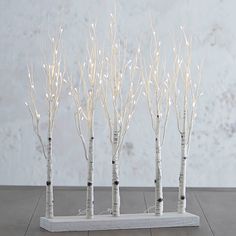 four white birch trees with lights on them in front of a concrete wall and floor