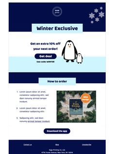 an email form with a penguin and snowflakes on the back ground, text reads winter exclusively get extra 10 % off your next order get deal