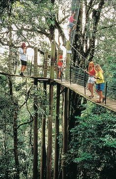 people walking across a bridge in the woods