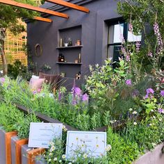 an outdoor garden with various plants and flowers in the foreground, including lavenders