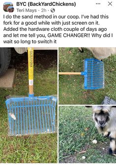 a collage of photos showing different types of dogs in cages and the same type of cage used for them