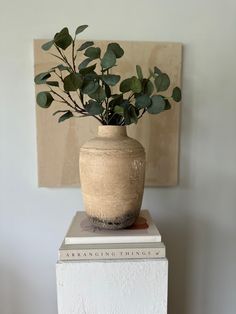 a plant in a vase sitting on top of two books