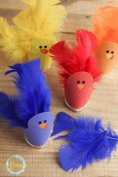 four paper cups with different colored feathers in them on a wooden table next to an egg carton