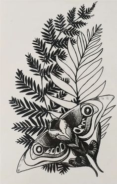 a black and white drawing of a butterfly on a tree branch with leaves in the foreground