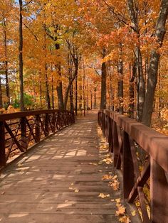 a wooden bridge surrounded by lots of trees with fall leaves on the ground around it