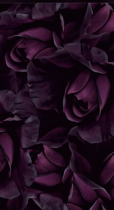 an image of purple flowers in the dark