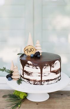 a chocolate cake sitting on top of a white plate next to pine cones and berries