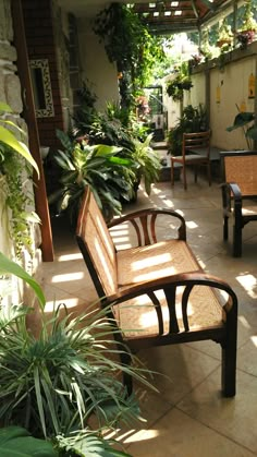 a wooden bench sitting on top of a tiled floor next to potted plants and greenery