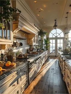 a large kitchen with lots of counter space and plants on the counters in front of it