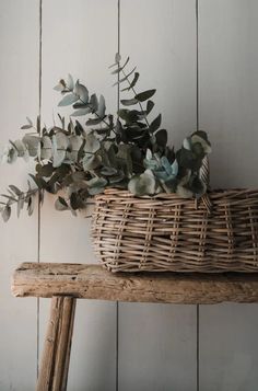 a wicker basket filled with eucalyptus leaves on top of a wooden bench next to a white wall