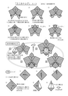 the instructions to make an origami bird with paper wings and leaves on it