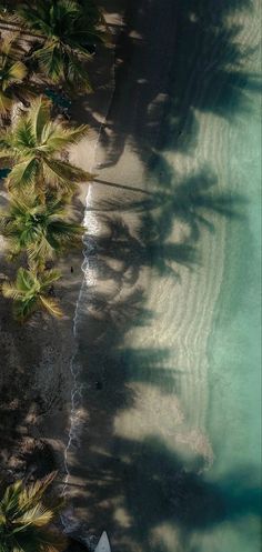 an aerial view of the beach with palm trees