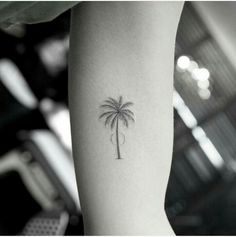 a small palm tree tattoo on the leg