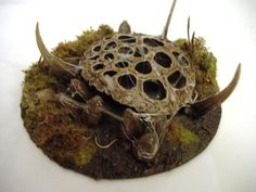 an animal with horns and holes in it's body sitting on some moss covered ground