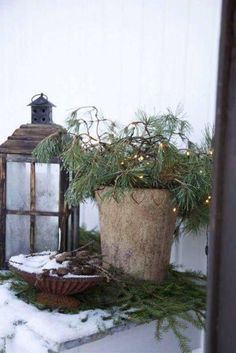 a potted plant sitting on top of a table next to a lantern in the snow