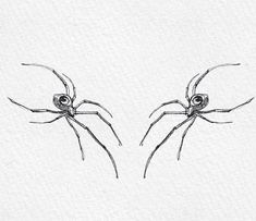 two black and white drawings of spider legs with eyes on each one's back