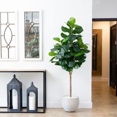 a potted plant sitting on top of a white table next to two black lanterns