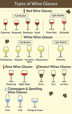 different types of wine glasses are shown in this diagram, with the names and description below