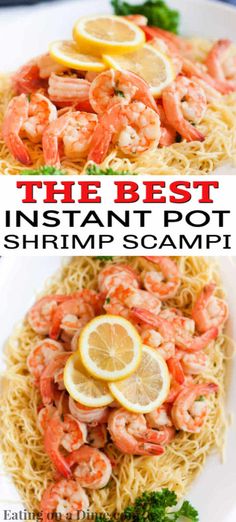 the best instant pot shrimp scamp recipe