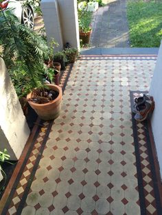 a tiled walkway with potted plants and shoes on the ground