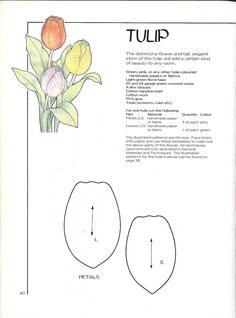 the instructions for tulips are shown in this page, which shows how to draw them