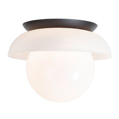 an image of a light fixture on a white background