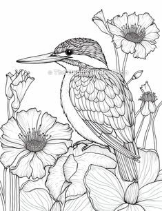 a bird sitting on top of flowers in black and white coloring book page for adults