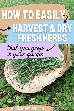 a basket full of fresh herbs with the words how to easily harvest & dry fresh herbs that you grow in your garden