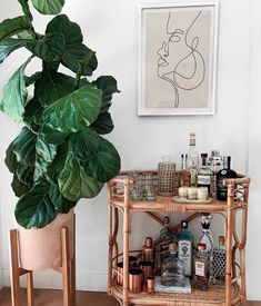 a bar cart with drinks on it next to a potted plant in the corner