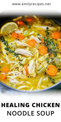 a bowl of chicken noodle soup with carrots and parsley