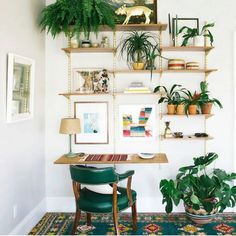 a living room with plants and pictures on the wall above a desk in front of a rug